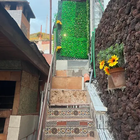 Estudios Kylie Y Evelyn Santa Cruz de Tenerife