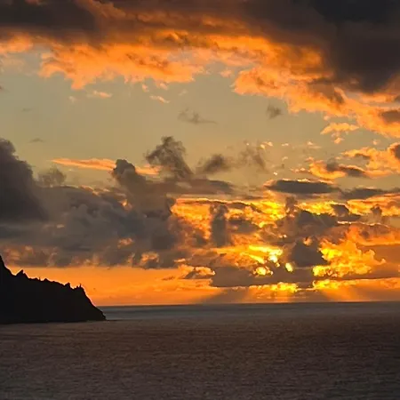 Estudios Kylie Y Evelyn *