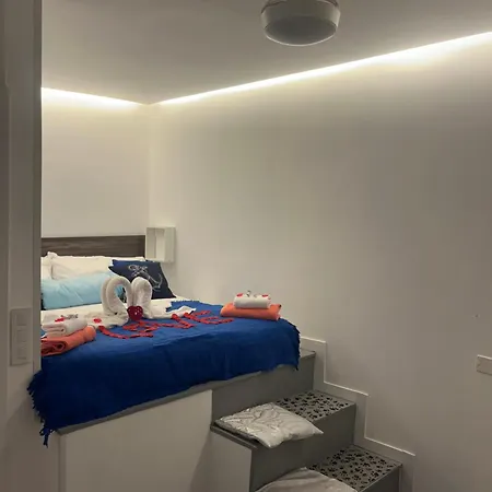 Estudios Kylie Y Evelyn *