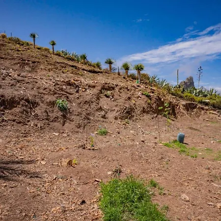 Estudios Kylie Y Evelyn *