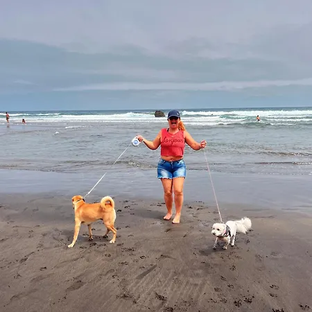 Estudios Kylie Y Evelyn Apartamento *