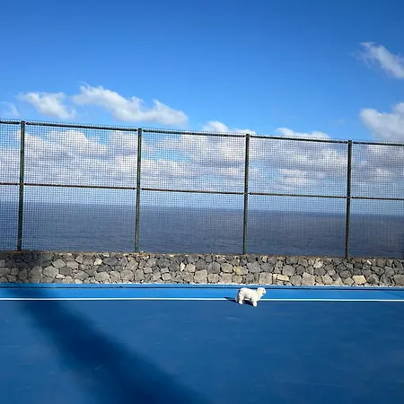 Estudios Kylie Y Evelyn Appartement