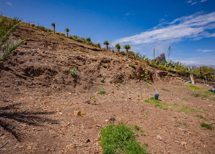 Estudios Kylie Y Evelyn *