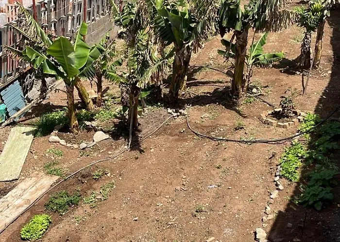 Estudios Kylie Y Evelyn