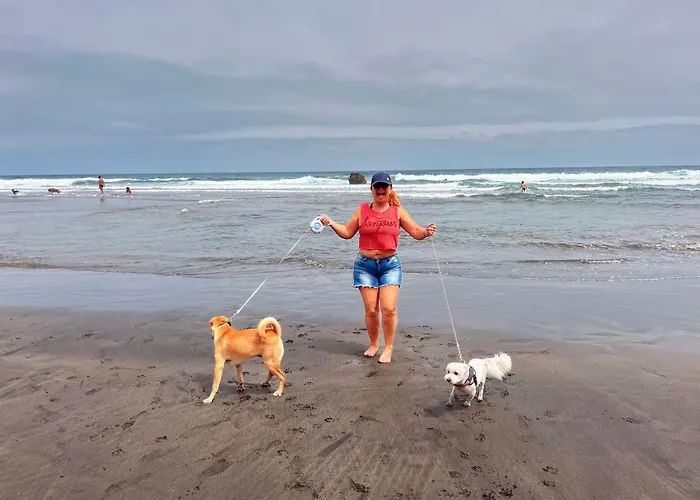 Estudios Kylie Y Evelyn Апартаменты *