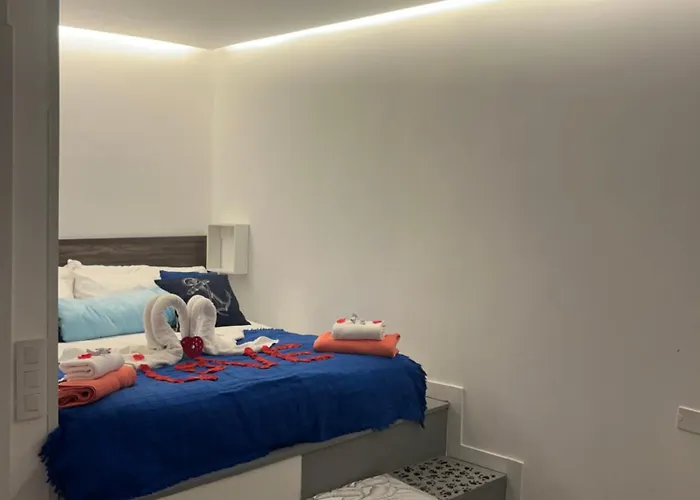 Estudios Kylie Y Evelyn *